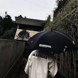 大残半只狐狸头像