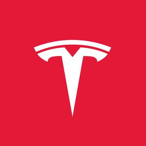 TESLA特斯拉头像