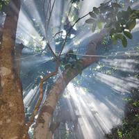 98年的小班头像