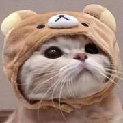 democat的个人资料头像