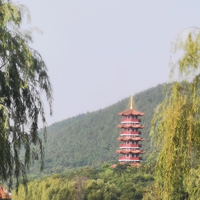 附近的消失头像