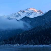 智慧苹果1J4头像