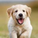 凡酱56915的个人资料头像