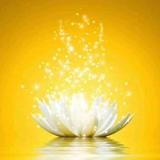 一枝独秀头像