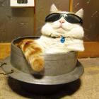 钟兆宇的个人资料头像