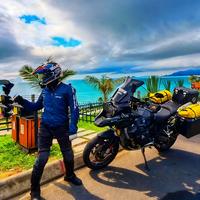 灵魂骑士鹏哥头像