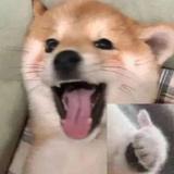 阿木木123126692头像