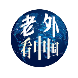 老W看中国头像