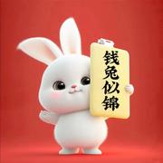 钱兔似锦的个人资料头像