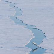 COLIe的个人资料头像