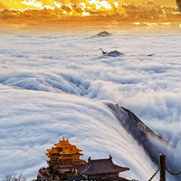 才高八斗帆船t4头像