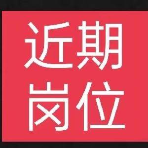 就业高端指导头像