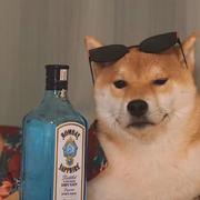 忧郁的土豆的个人资料头像