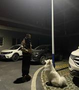 鼎哥睡不醒的个人资料头像