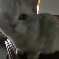 用户4679977384955头像