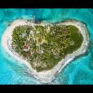 追梦极客的个人资料头像