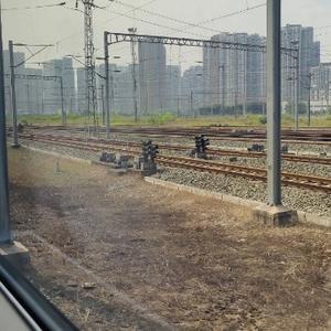 业余挖挖哥头像