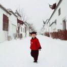 刘同学同志的个人资料头像