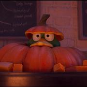 南方的鸭子的个人资料头像