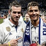 熙溯的个人资料头像