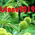 Lstone2019头像