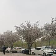 PrinciplesMan的个人资料头像