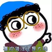 小透明502的个人资料头像