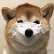 只打呼噜不睡觉的个人资料头像
