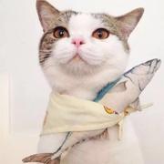 儒雅的烤地瓜的个人资料头像