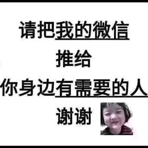 前程人力马亮亮头像