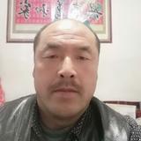 我是贾老七头像