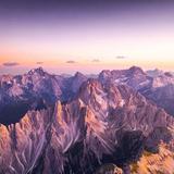 率真葡萄Zb头像