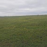 热情的雪梨0P1头像