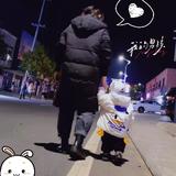小玉的阿朱酱头像