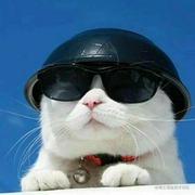 Flittly的个人资料头像