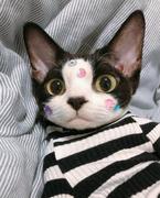 赵一的个人资料头像