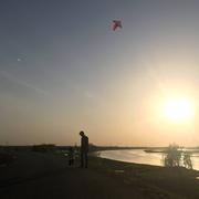 olding的个人资料头像