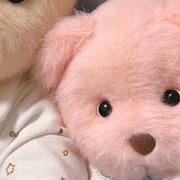 豆油瓶的个人资料头像