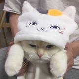 不說ぁ戀妳を头像
