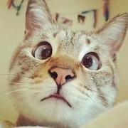 若离的个人资料头像