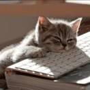 时倾的个人资料头像