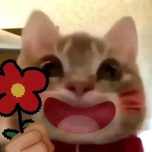 用户8117615916006头像
