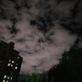 铜中铜头像