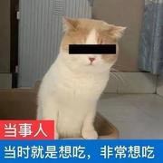 八爪鱼620的个人资料头像