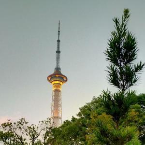 空白122611596头像