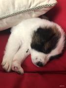 睡不醒夜猫的个人资料头像