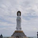 liujiayin123456头像