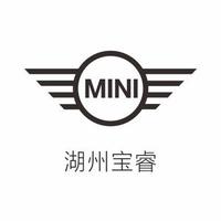 湖州宝睿MINI头像