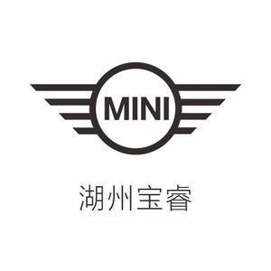 湖州宝睿MINI头像