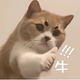 冰人c头像